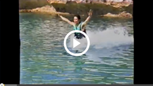 Swim with Dolphins in Bahamas